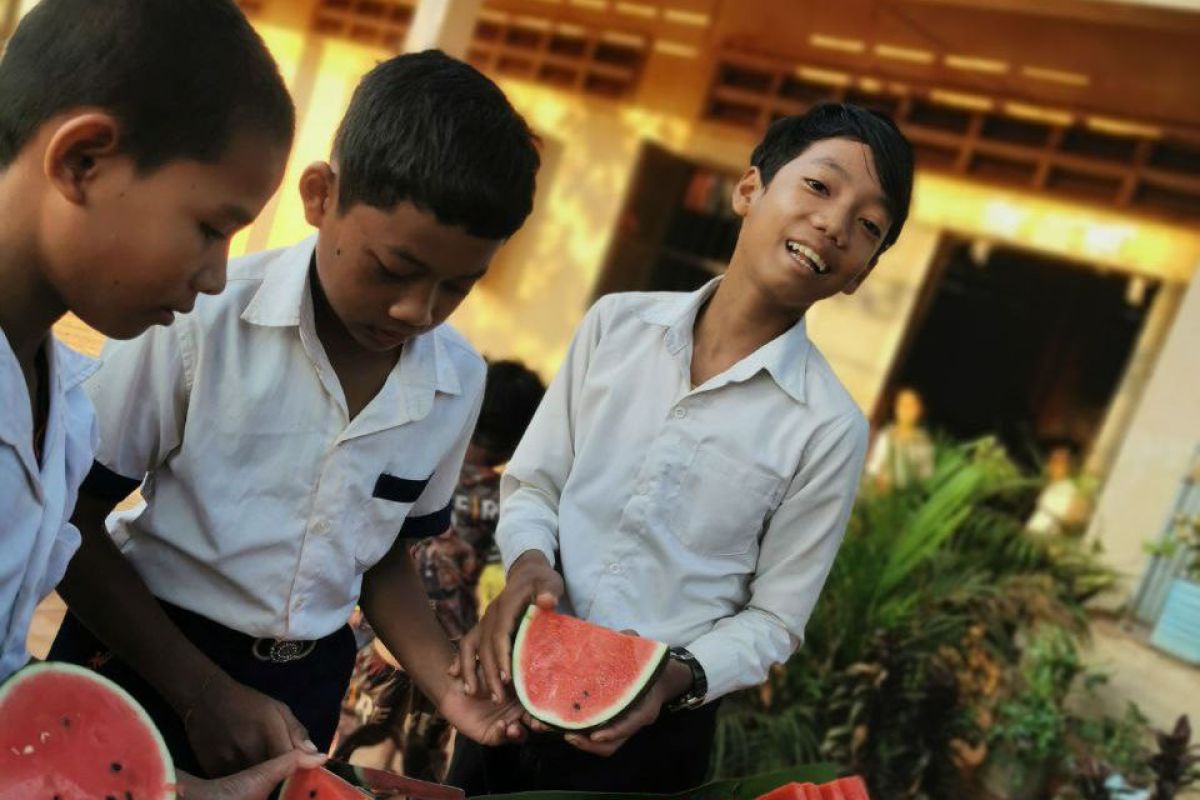 Fruit Program for mental and physical health improvement